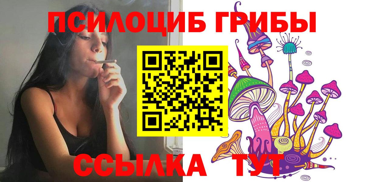 Псилоцибиновые грибы мухоморы  Вход с VPN  Медногорск  Псилоцибиновые грибы мицелий 