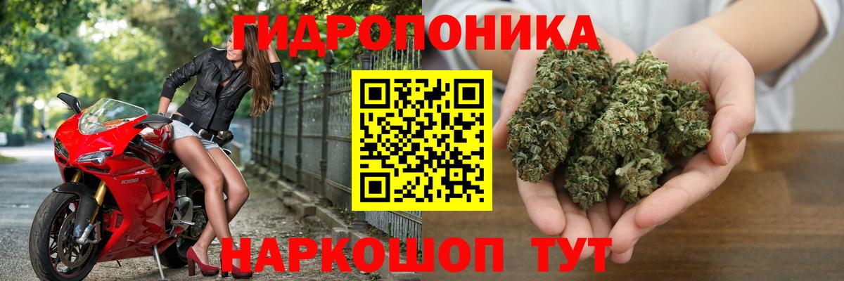 Медногорск  Конопля тримм  Шишки марихуана ГИДРОПОН  Вход с VPN 